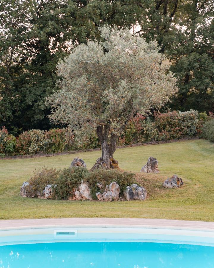 Podere Cerretino Poppi Exteriör bild
