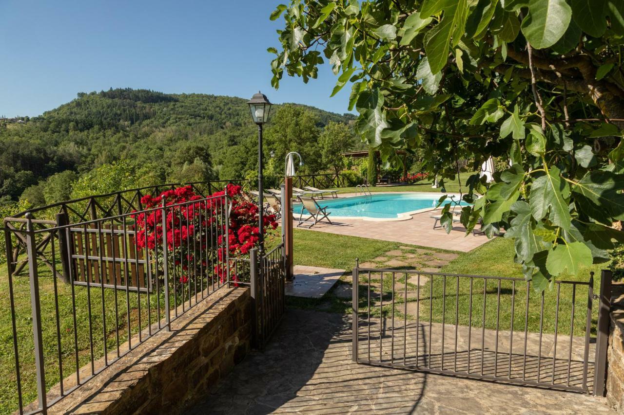 Podere Cerretino Poppi Exteriör bild
